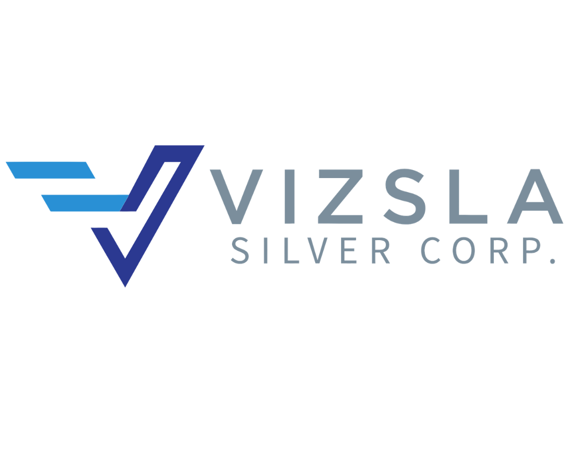 vizsla4